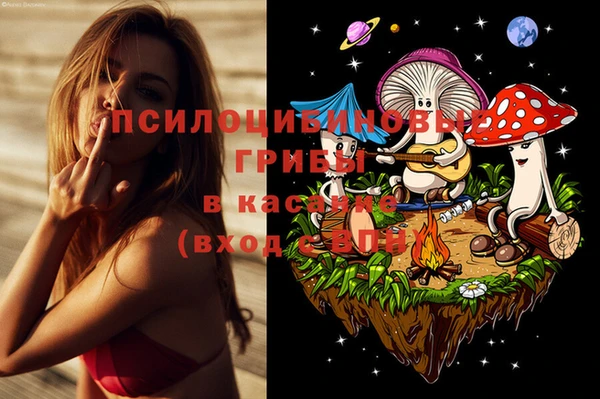 дурь Богородицк