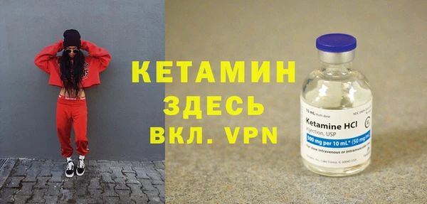 шишки Заводоуковск