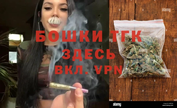 прущие грибы Заволжье